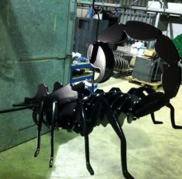 Click Here To View Larger Image